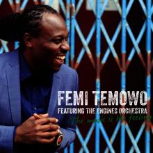 Femi Temowo Music is the Feeling